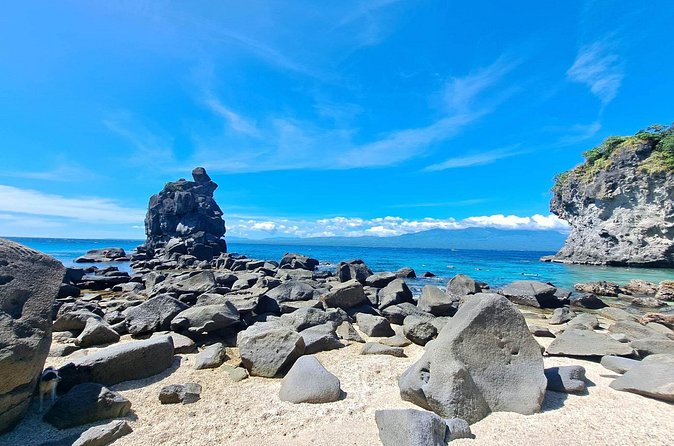 Full Day Apo Island Tour from Dumaguete - Coral gardens, fish, and underwater scenery