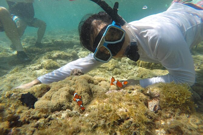 Full Day Apo Island Tour from Dumaguete - The Habagat Trail and its 30-minute climb