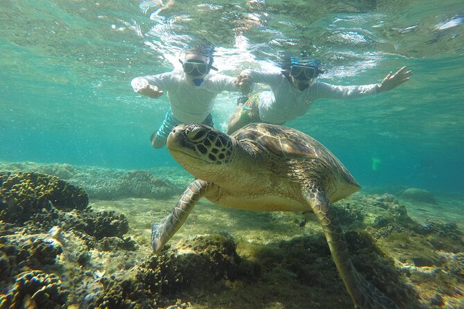 Full Day Apo Island Tour from Dumaguete - Boat ride to Apo Island