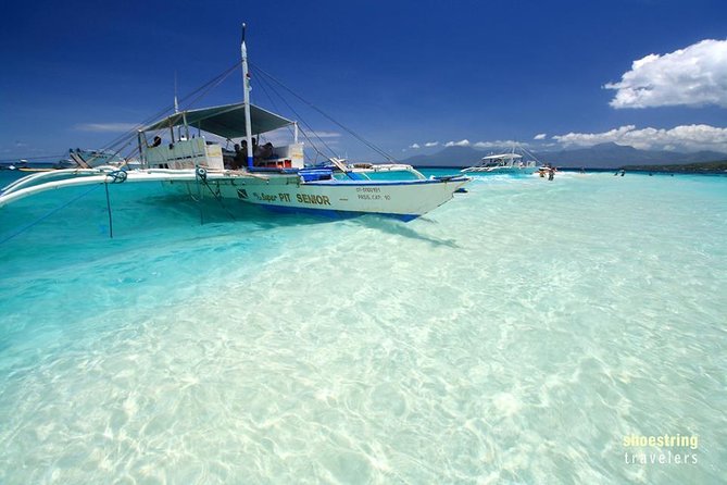 Full Day Canyoning and Whaleshark Adventure from Cebu City or Mactan Area - Why this Cebu combination works