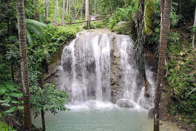 Full-Day Private Siquijor Island Tour - The Old Enchanted Balete Tree has folklore and commerce