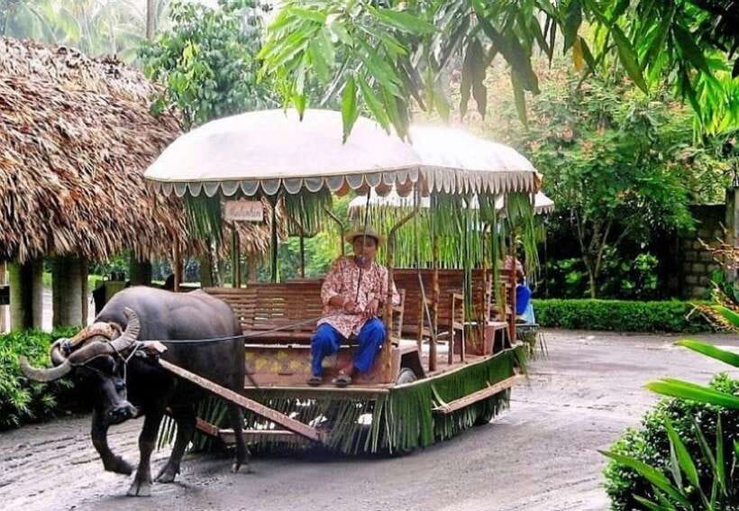 Full Day Tour Villa Escudero Plantation - Arriving Among the Coconut Trees
