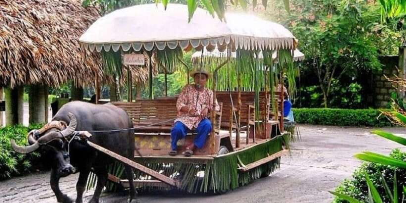 Full Day Tour Villa Escudero Plantation - The Plantation Museum and the Escudero Family Collection