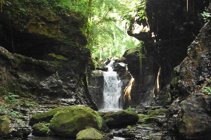 Hidden Valley Springs with Lunch from Manila - Waterfalls, forest, and a slower afternoon