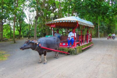 Immerse in Culture: Villa Escudero Coconut Plantation Experience - The road south from Manila