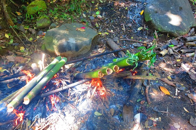 indigenous Forest experience Manila 2023 - Why this Subic Bay forest visit feels different