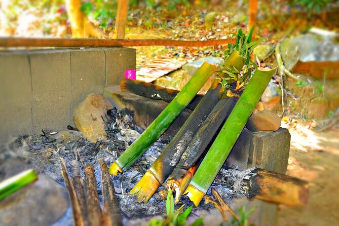 indigenous Forest experience Manila 2023 - Walking the Pamulaklakin Forest Trail