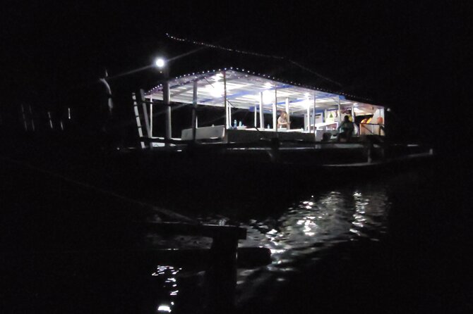 Joiners Firefly Watching Tour - Why firefly watching works after dark