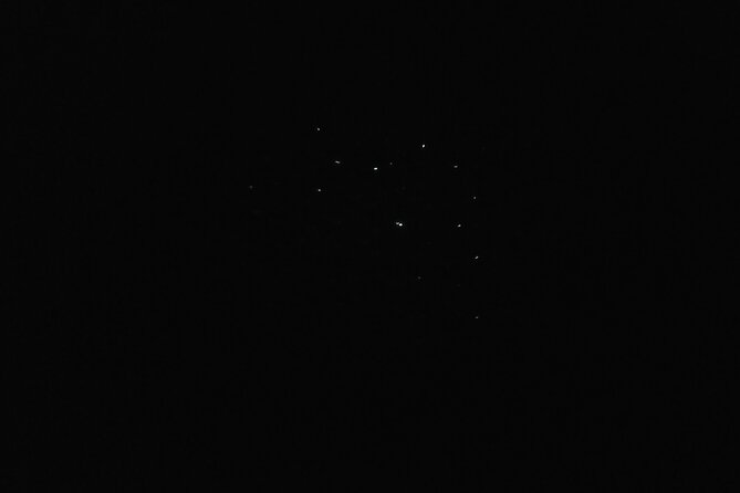 Joiners Firefly Watching Tour - Dinner on the Baywalk and river