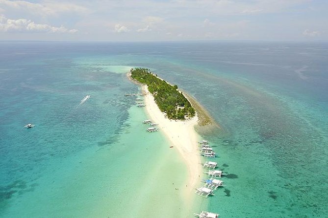 Kalanggaman & Malapascua Island Day Tour with Private Transportation - Key points to know before booking