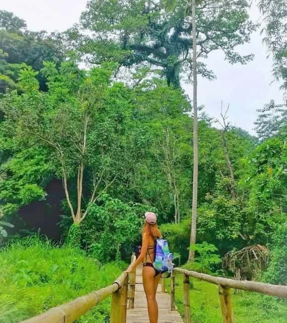 Laguna: Hidden Valley Natural Spring with private Car - Why Hidden Valley Springs makes a good escape from Manila