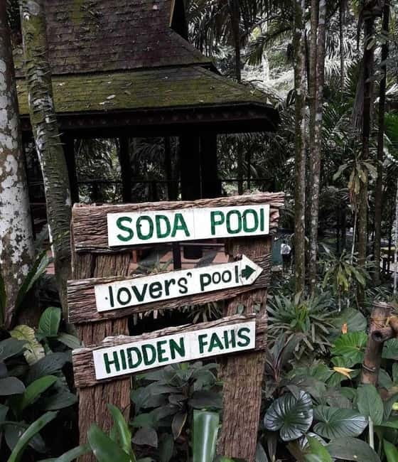 Laguna: Hidden Valley Natural Spring with private Car - The private drive from Manila