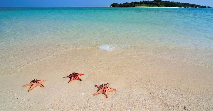 LITTLE BORACAY- CALATAGAN BATANGAS DAY TOUR (FROM MANILA) - Three hours at Starfish Sandbar