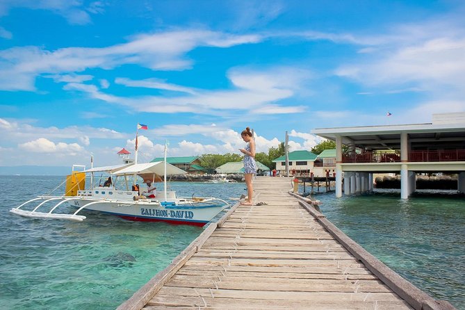 Mactan Cebu Island Hopping with Lunch - Gilutungan, Caohagan, Nalusuan - Hilutungan Island: the strongest fish viewing