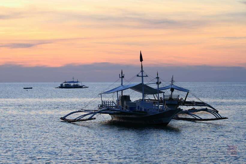 Malapascua: Advance Divers Shark Dive & Optional Transfer - What the thresher shark encounter is like