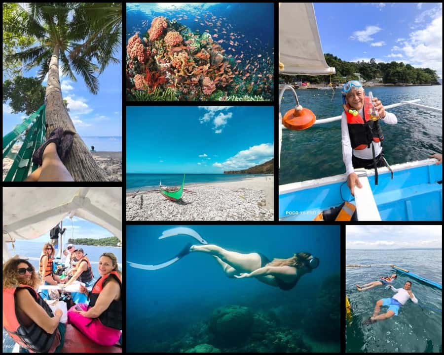Manila: Beach Snorkel and Island Hopping - Snorkeling over coral gardens