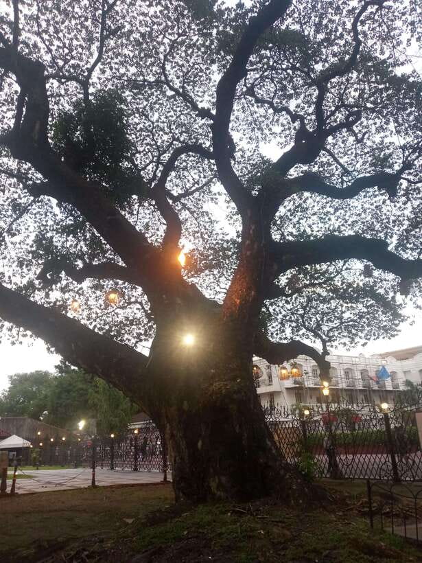 Manila: Intramuros Tour ( Dark) - Why Intramuros works so well for a dark history tour