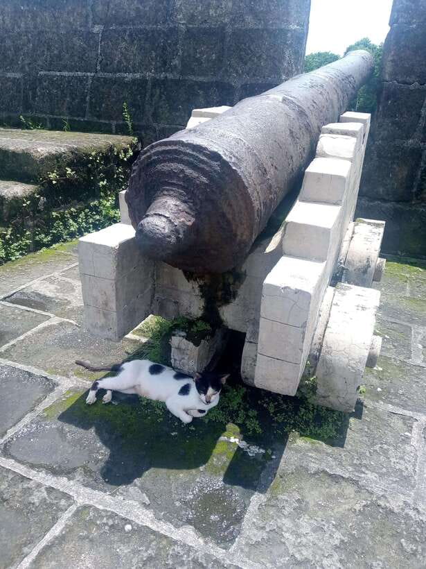 Manila: Intramuros Tour ( Dark) - Starting at Fort Santiago with its dungeons and bastions