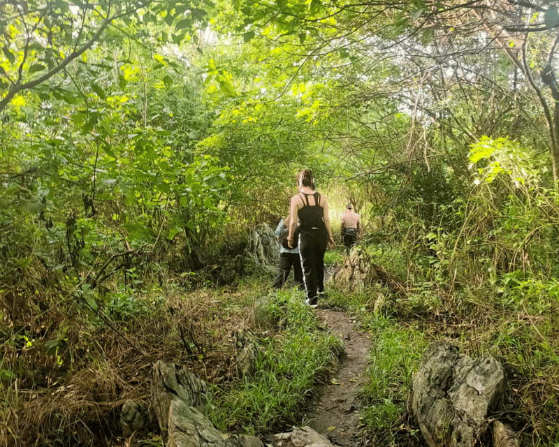 Manila: Mt. Kulis, Tanay, Rizal Hike and Scenic Adventure - The daylight descent is easier, but not effortless