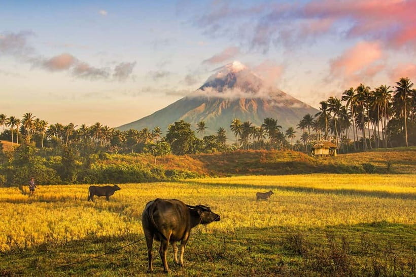 Mayon Volcano Advance Trail - A guide who helps with safety and photos