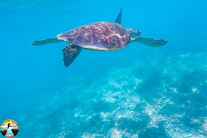 Moalboal Island Hopping (Pescador Island, Sardines and Turtles) - Reaching Panagsama Beach and boarding the boat