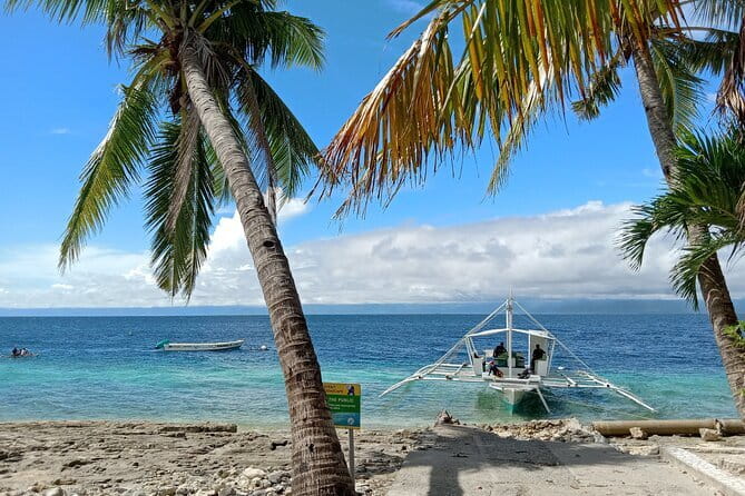 Moalboal Sardine Run, Sea Turtle and Mantayupan Falls - Lunch, gear, and what the $99 includes