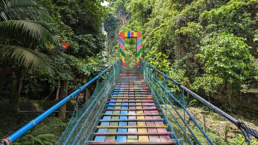 Moalboal Sardine Run, Sea Turtle & Mantayupan Falls - Why this Cebu day trip works