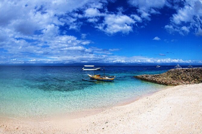 Moalboal Sardines Run Private Tour w/ Transfers Option - Green turtles and the value of going early