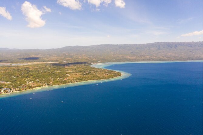 Moalboal Sardines Run Private Tour w/ Transfers Option - What the private format really adds