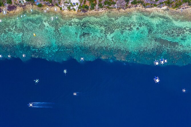 Moalboal Sardines Run Private Tour w/ Transfers Option - Safety, weather, and comfort in the water