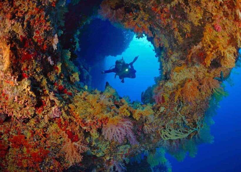 Moalboal: Scuba Diving and Pescador Island Hopping - Who will enjoy this Moalboal outing?