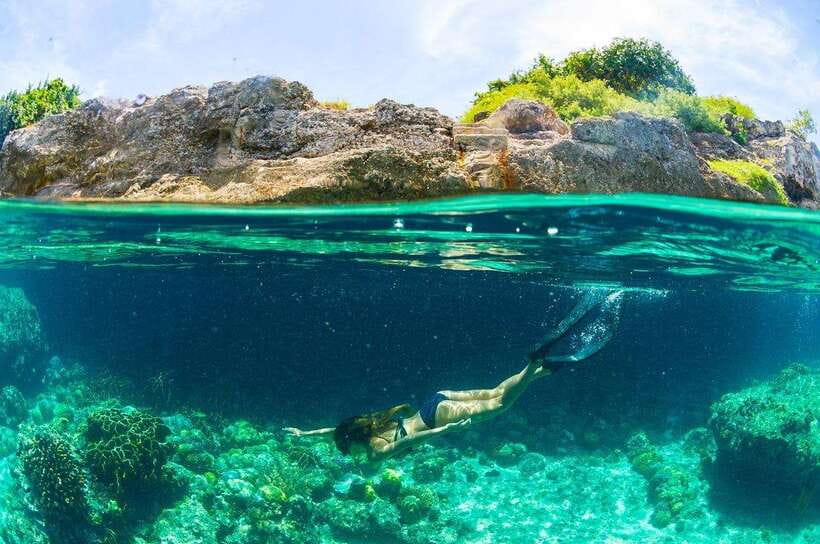 Moalboal: Scuba Diving and Pescador Island Hopping - Booking flexibility and practical preparation