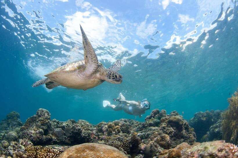 Moalboal: Scuba Diving and Pescador Island Hopping - Leaving Moalboal for Pescador Island