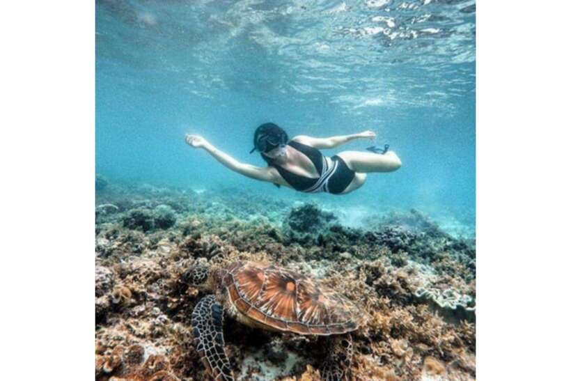 Moalboal : Scuba Diving Sardine Run and Turtle Chasing - The guides are part of the experience