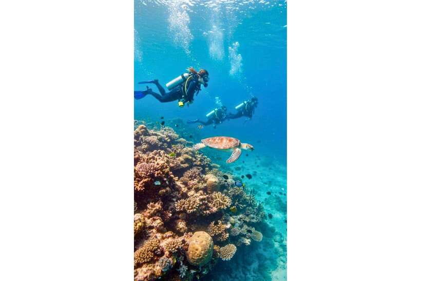 Moalboal : Scuba Diving Sardine Run and Turtle Chasing - What to pack, and what not to assume is included