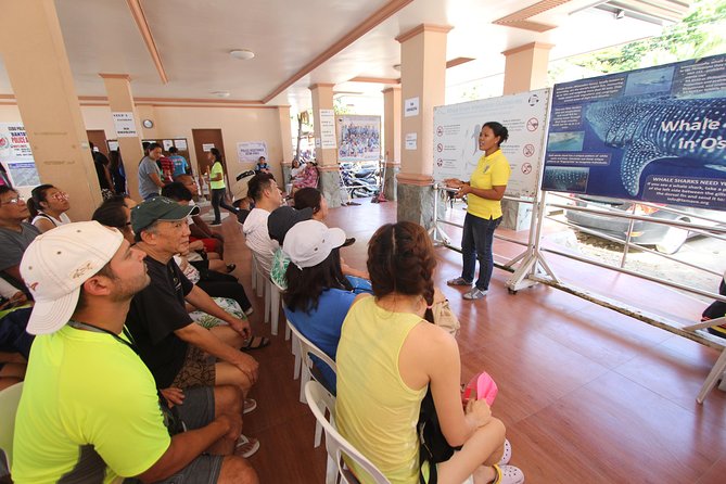 Oslob Whale Shark and Kawasan Falls Day Tour - Who will enjoy this tour most