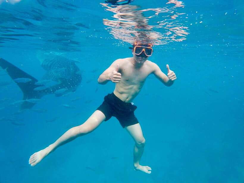 Oslob Whale Shark Direct - Key Points Before You Book