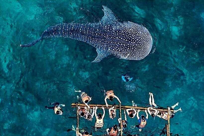 Oslob: Whale Shark Encounter, Ka-Treasure Falls & Simala - Cooling off at Ka Treasure Falls