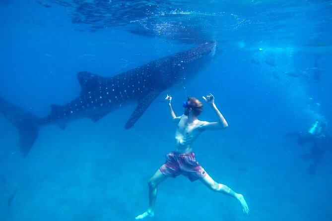 Oslob Whale Shark & Moalboal Sardines & Turtle Private Tour - Tumalog Falls adds scenery without much extra travel