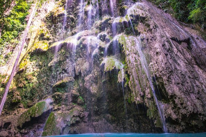Oslob Whale Shark Private Tour with Sumilon & Tumalog Falls - The Ruins of Oslob in one hour