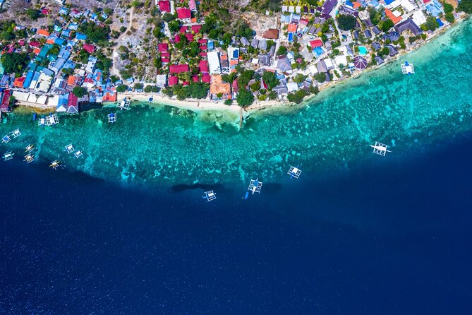 Oslob Whale Shark Private Tour with Sumilon & Tumalog Falls - What the private format really gives you