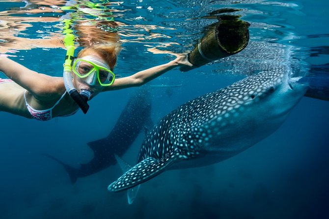 Oslob Whale Shark Snorkeling & Kawasan Canyoning Tour - Key points to know before booking