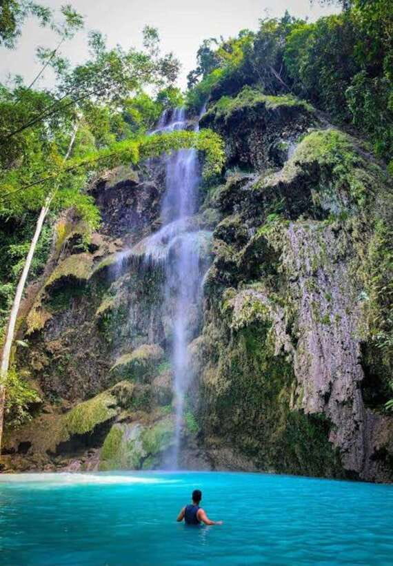 Oslob: Whale shark swimming, Tumalog Falls, Sumilon Sandbar - Whale shark swimming at 7 AM