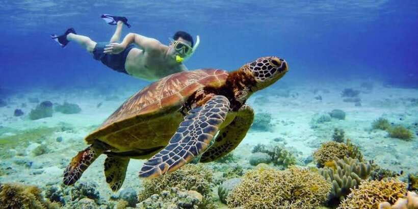 Oslob: Whale shark swimming, Tumalog Falls, Sumilon Sandbar - Tumalog Falls at 7:30 AM