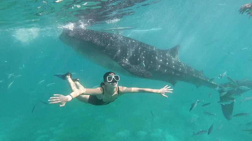 Oslob: Whale Shark Tour with Sumilon & Moalboal Snorkeling - What to pack for this long water day