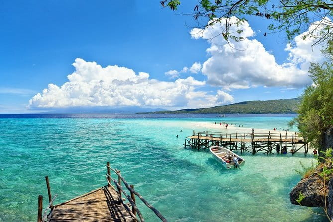 Oslob Whale Shark & Tumalog Waterfalls & Sumilon Sandbar - Oslob Whale Shark Snorkeling In The Morning