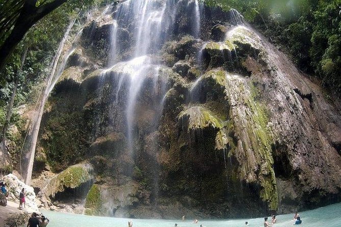 Oslob Whale Shark watching + Canyoneering Adventure Tour - Meeting the Whale Sharks at Oslob