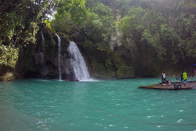 Oslob Whale Shark Watching + Kawasan Falls Day Tour - Why this Cebu day trip works so well