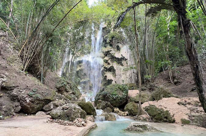 Oslob Whale Shark Watching + Kawasan Falls Day Tour - The guides and small touches that matter