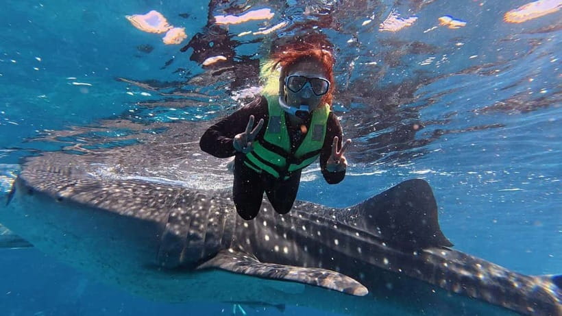 Oslob: Whale Shark Watching Private tour - Private Transport and Group Size